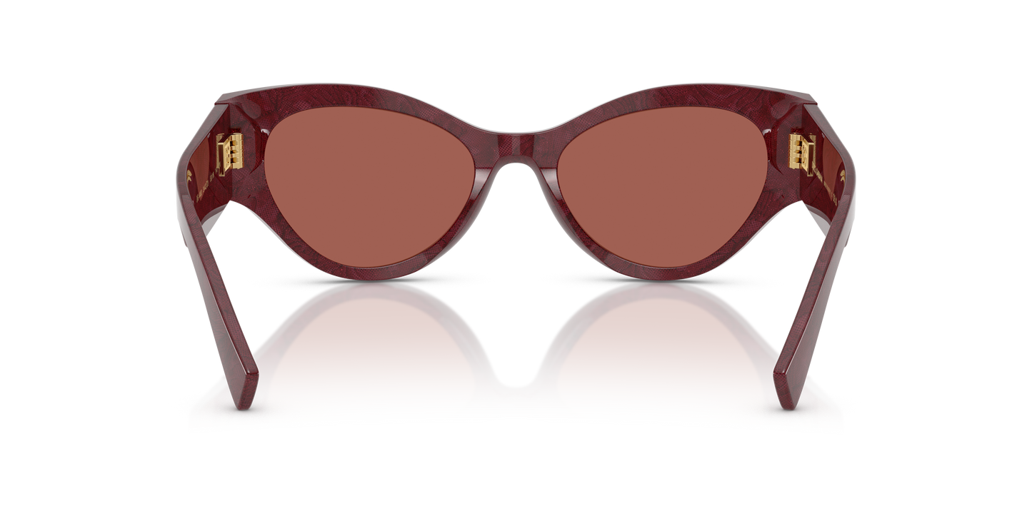 DOLCE&GABBANA-DG4480