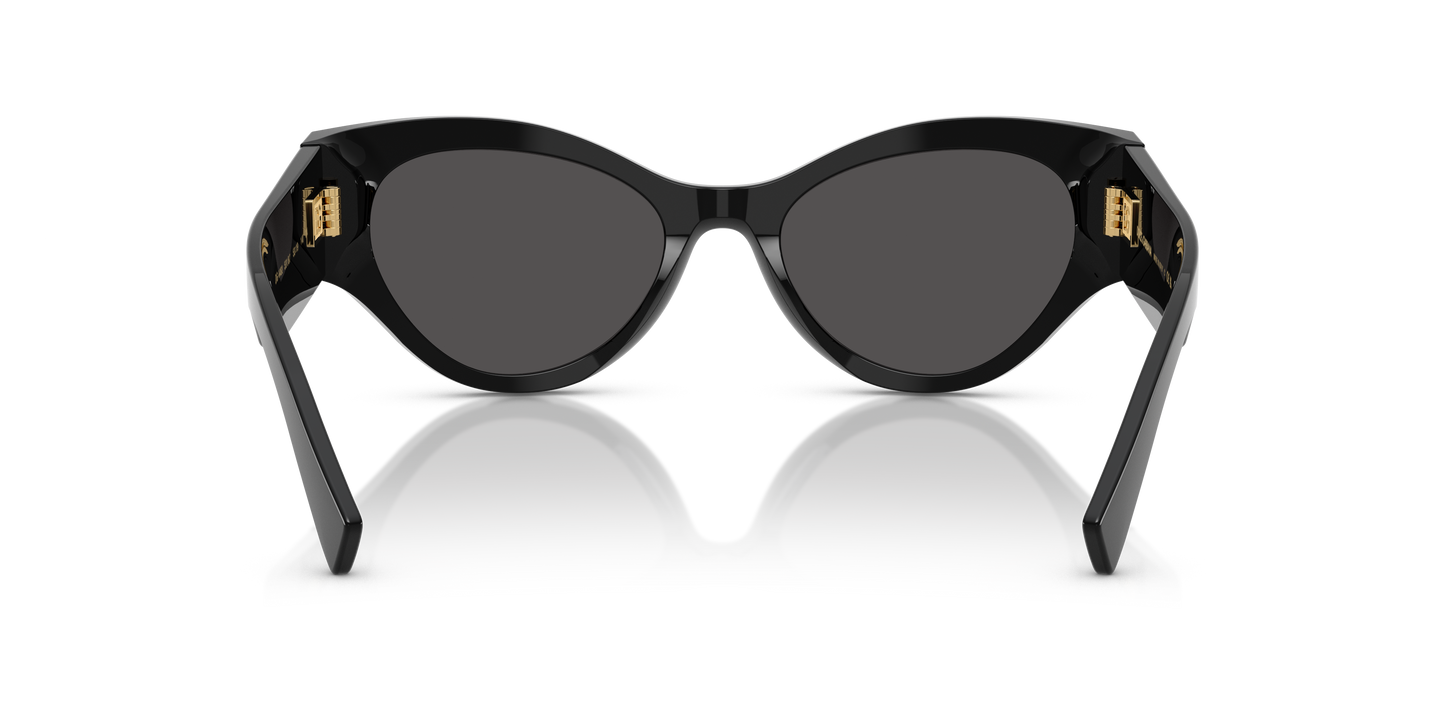 DOLCE&GABBANA-DG4480