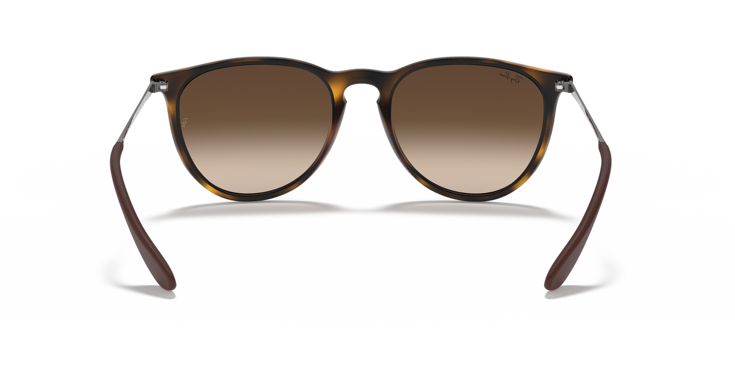 RAY-BAN-RB4171 Erika Classic