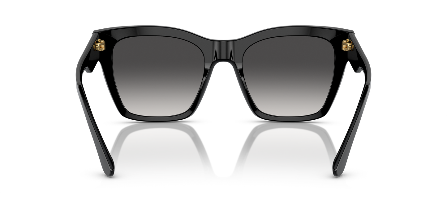 DOLCE&GABBANA-DG4384