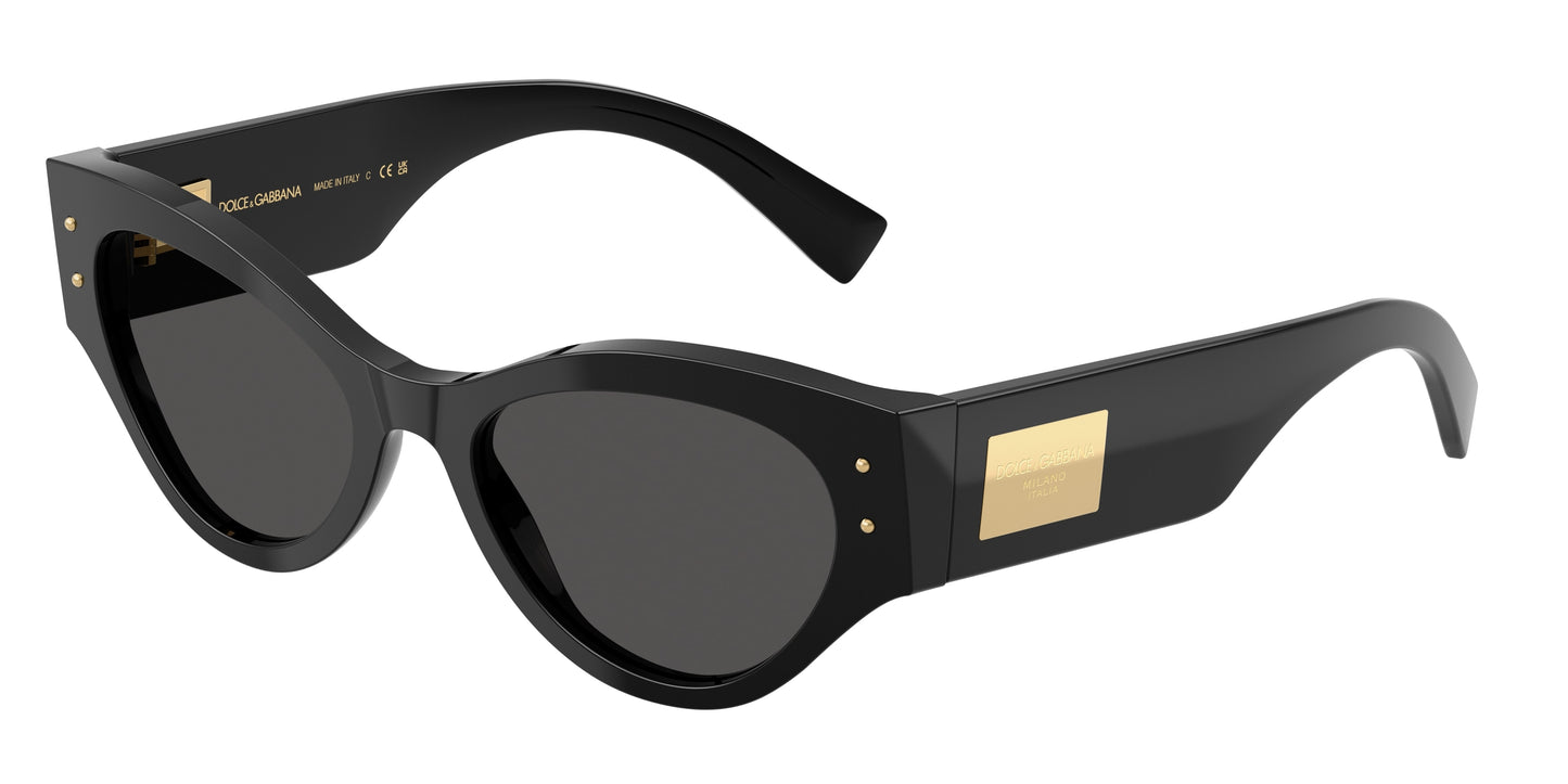 DOLCE&GABBANA-DG4480