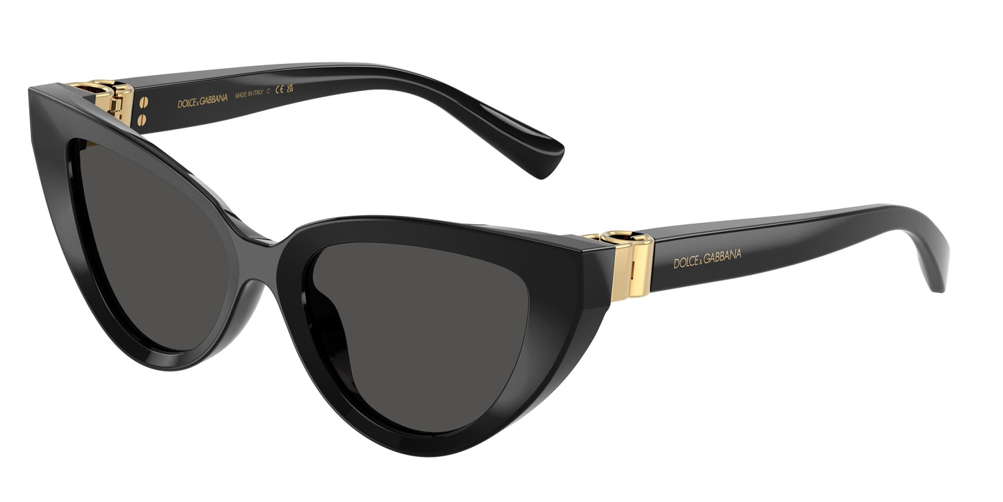 DOLCE&GABBANA-DG4497