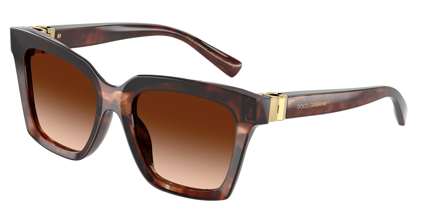 DOLCE&GABBANA-DG4498