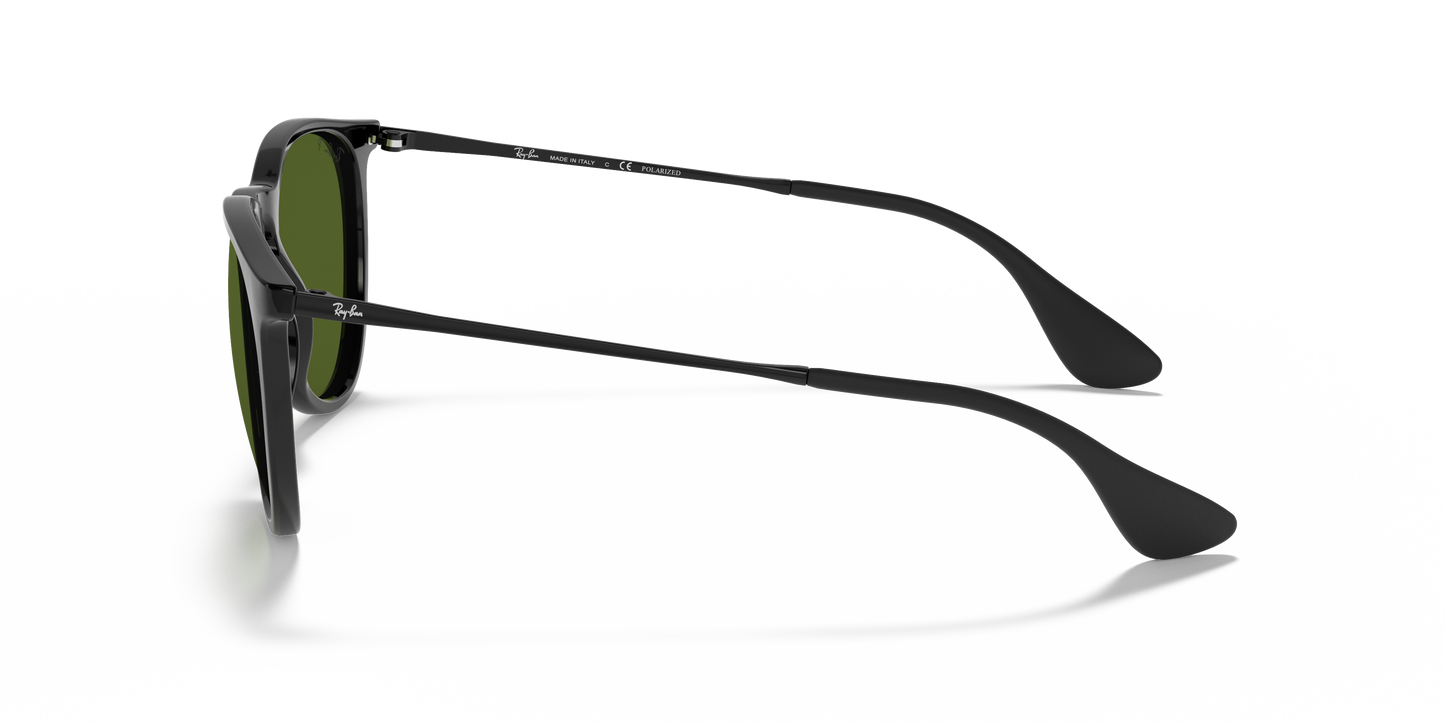 RAY-BAN-RB4171 Erika Classic