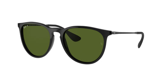 RAY-BAN-RB4171 Erika Classic