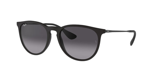 RAY-BAN-RB4171 Erika Classic