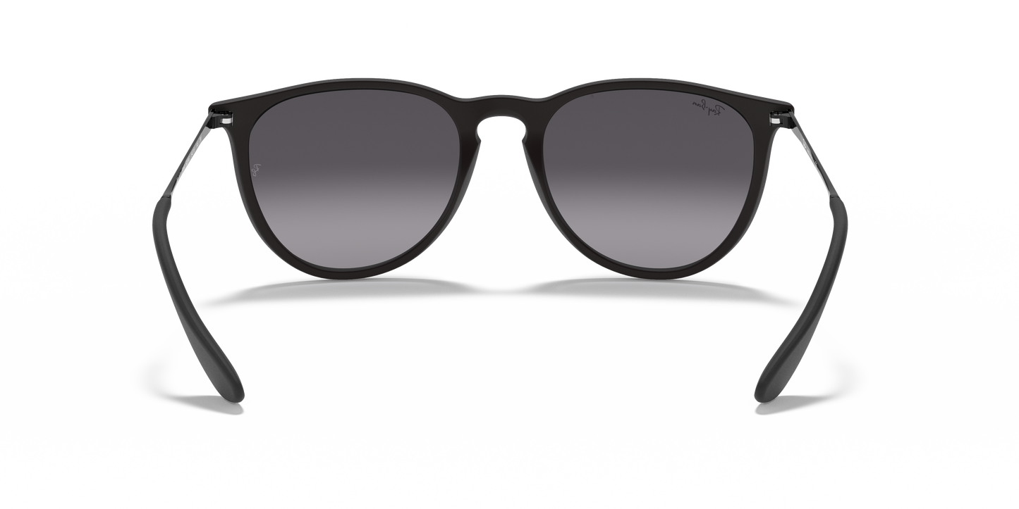 RAY-BAN-RB4171 Erika Classic