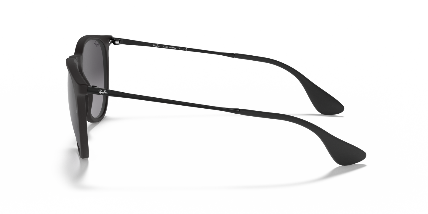 RAY-BAN-RB4171 Erika Classic