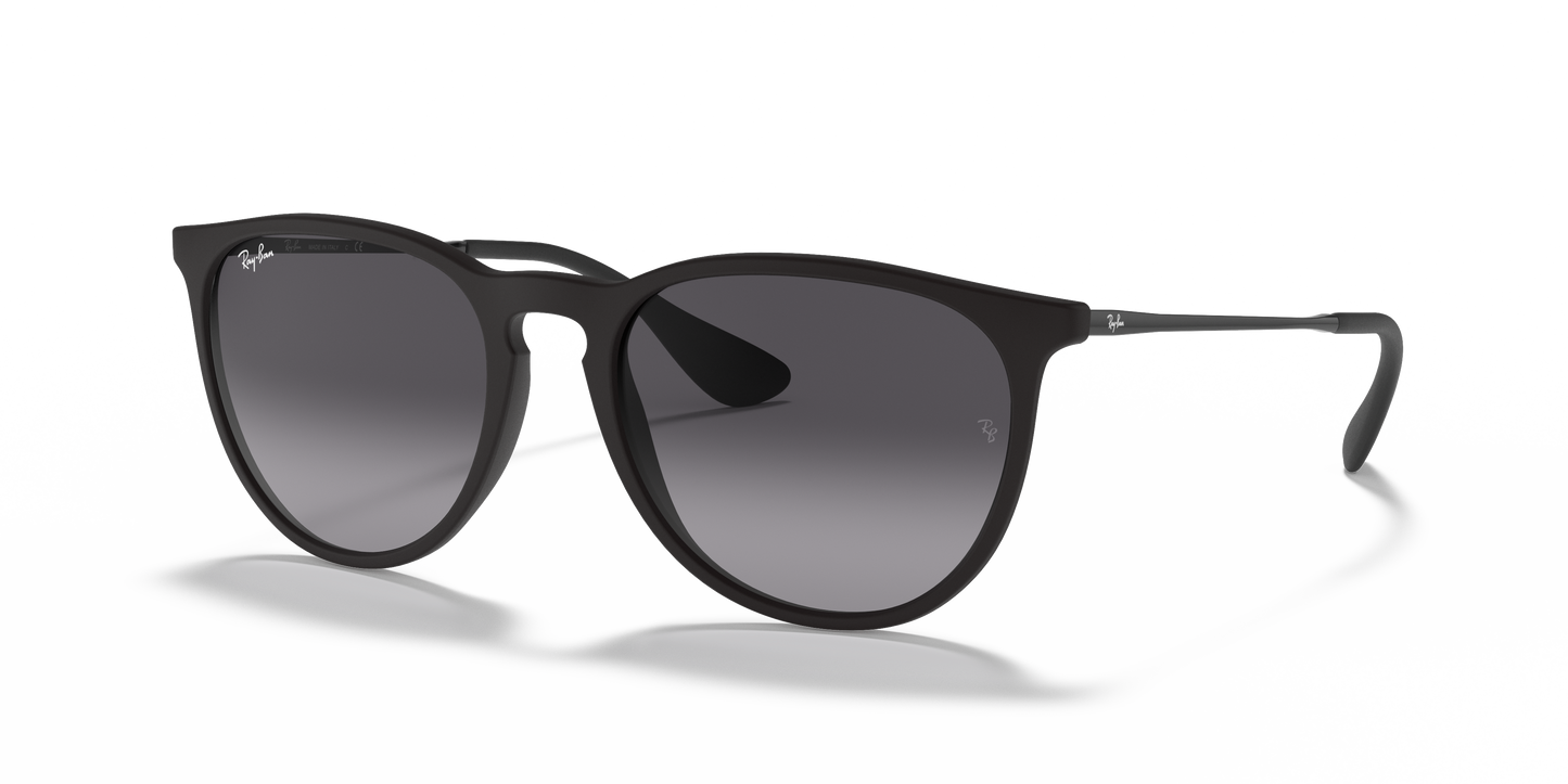 RAY-BAN-RB4171 Erika Classic