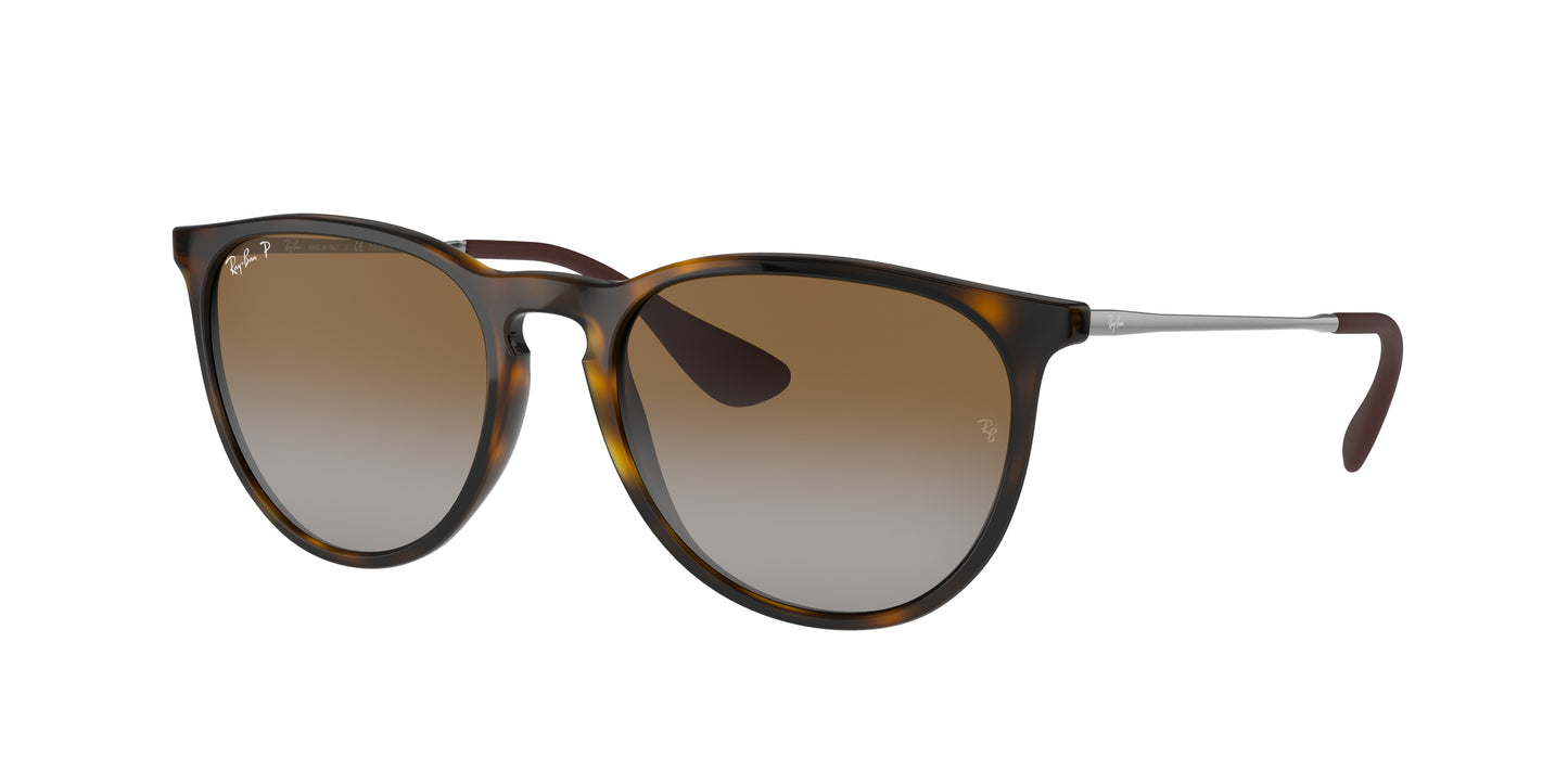 RAY-BAN-RB4171 Erika Classic