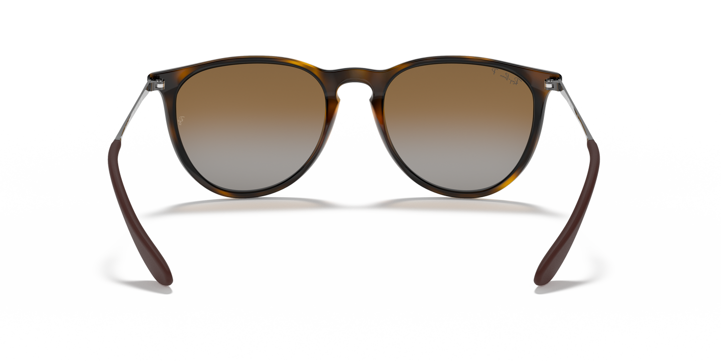 RAY-BAN-RB4171 Erika Classic
