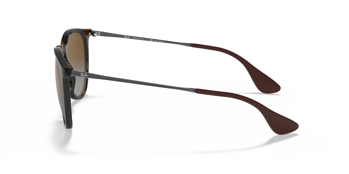 RAY-BAN-RB4171 Erika Classic