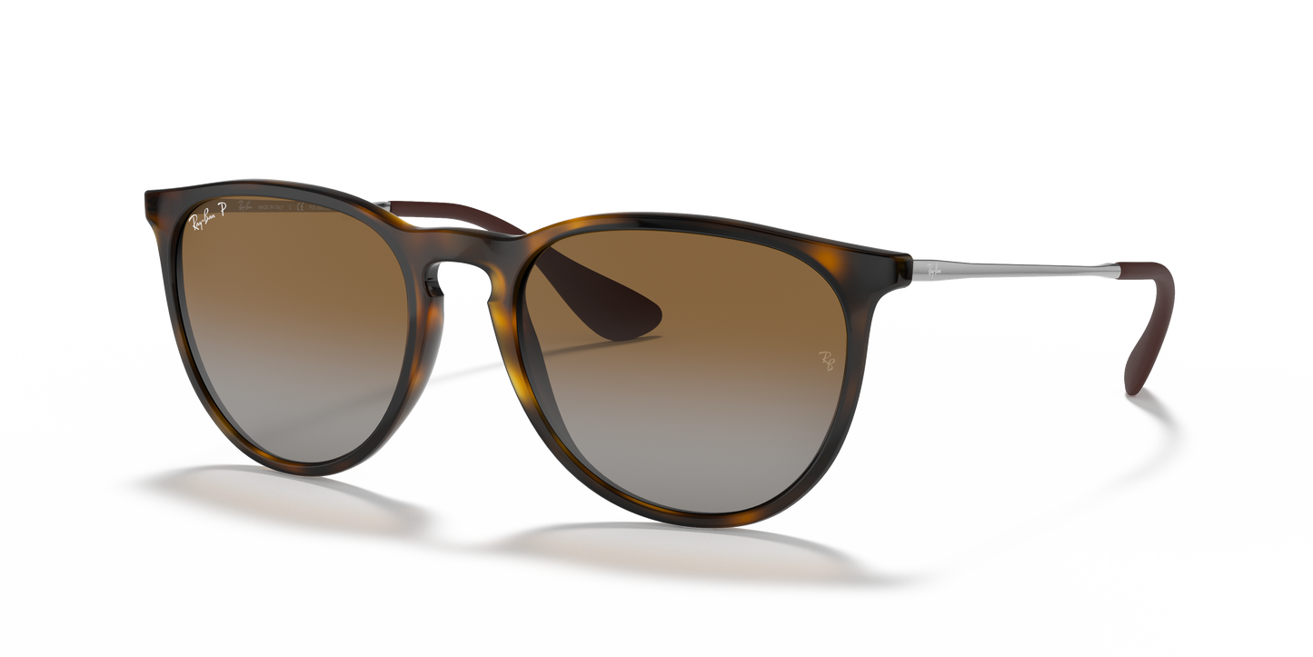 RAY-BAN-RB4171 Erika Classic