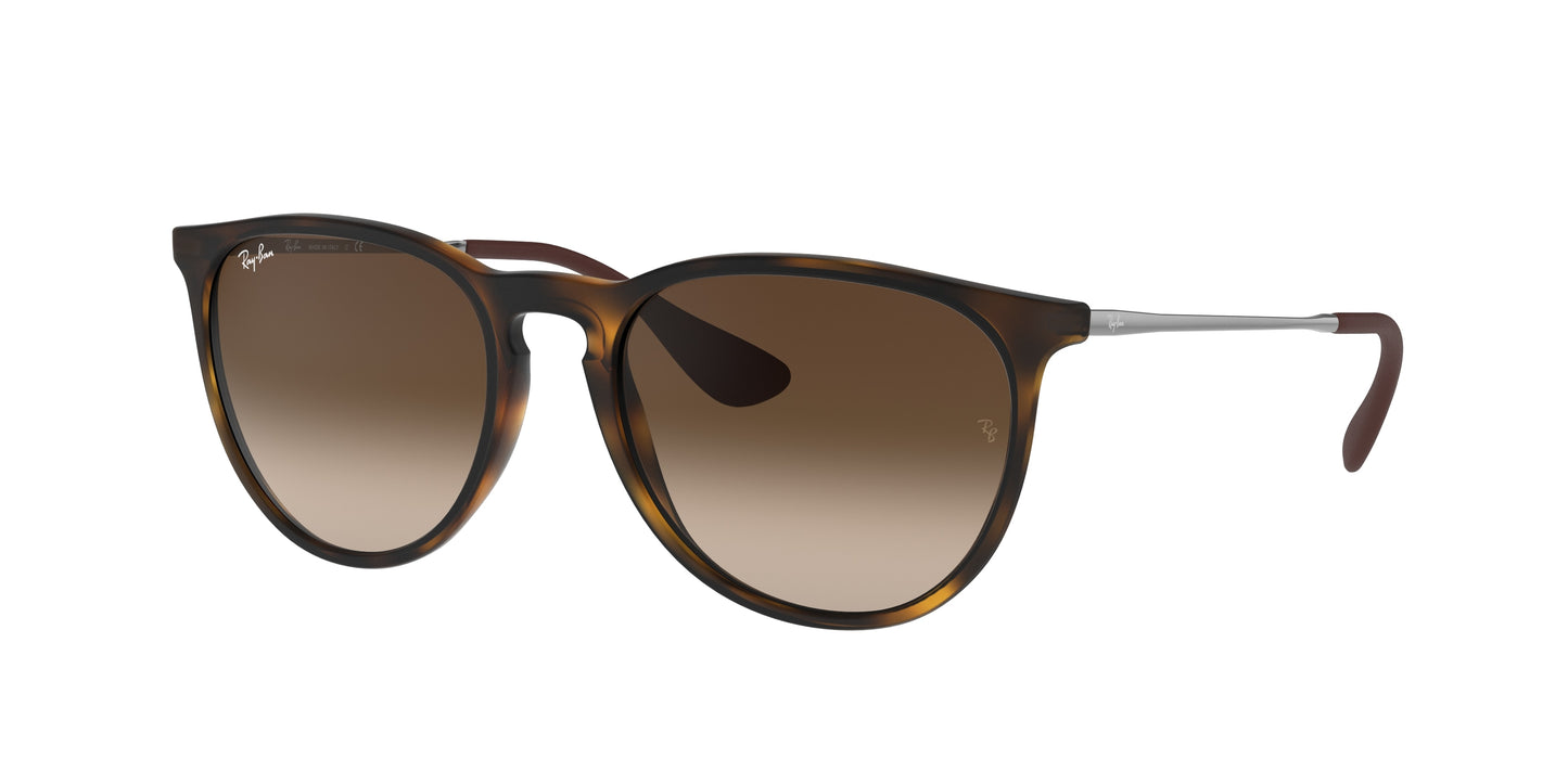 RAY-BAN-RB4171 Erika Classic