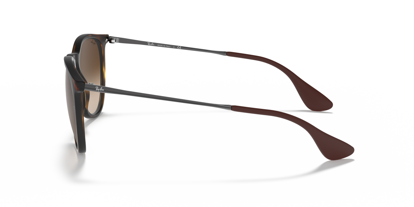 RAY-BAN-RB4171 Erika Classic