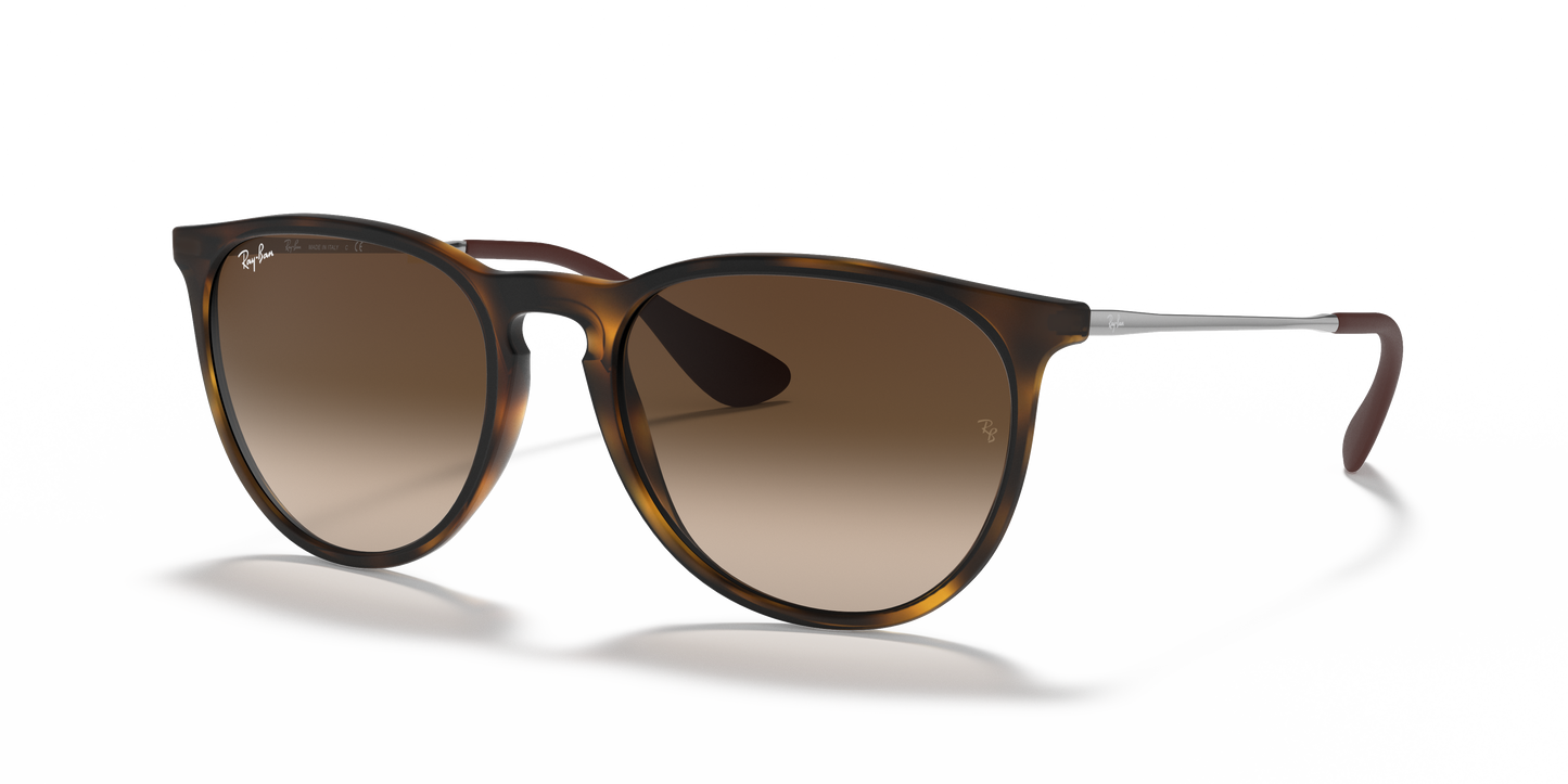 RAY-BAN-RB4171 Erika Classic