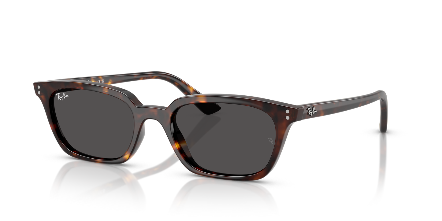 RAY-BAN-RB4456 Zaya Bio-Based