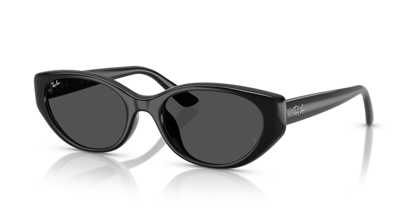 RAY-BAN-RB4457D Bio-Based