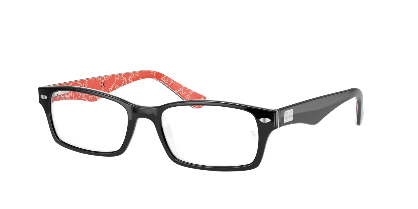 RAY-BAN-RB5206 Optics
