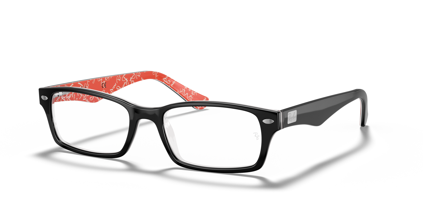 RAY-BAN-RB5206 Optics
